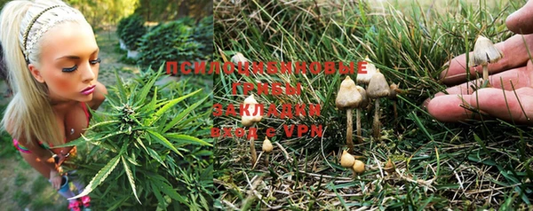 амф Вяземский